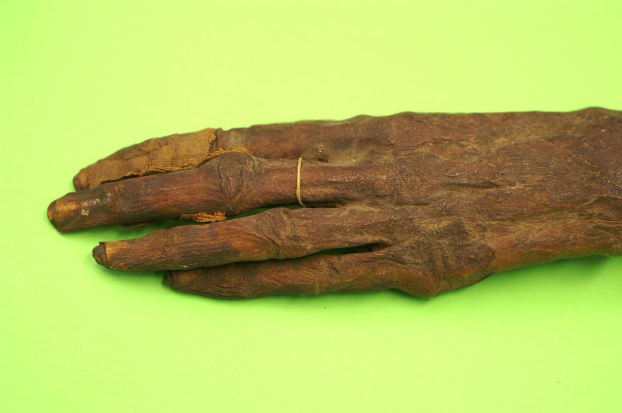 Main momifiée égyptienne